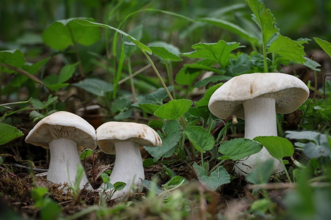 Gallego, CARTELES TALLERES PROMOCION 2025 (4)