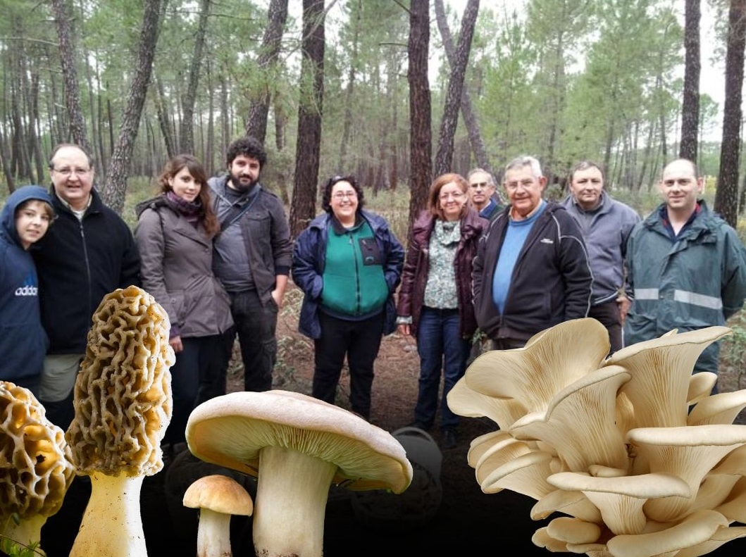 Gallego, CARTELES TALLERES PROMOCION 2025 (5)